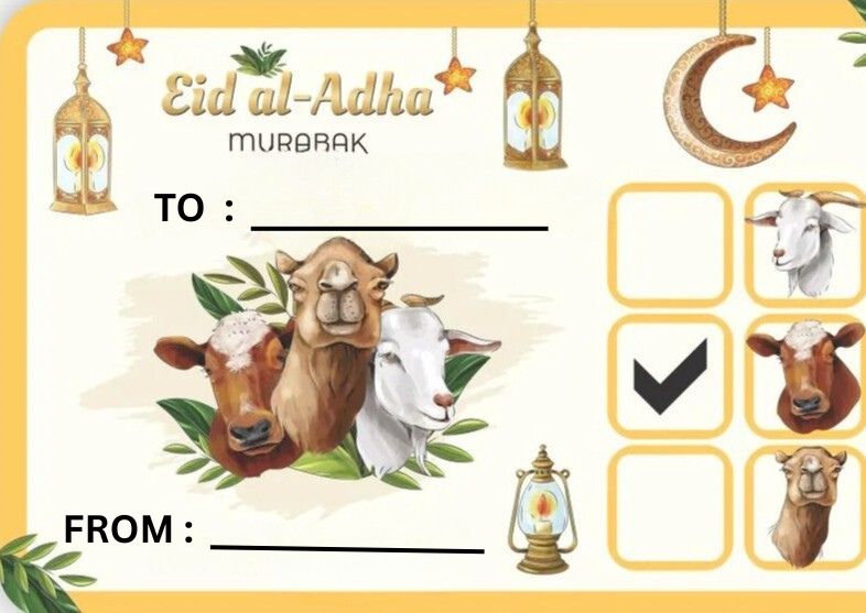 Eid ul Adha Qurbani Meat Boxes (Pack of 6) sizes 250ml, 500ml, 1000ml